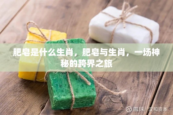 肥皂与生肖,跨界之旅的神秘面纱