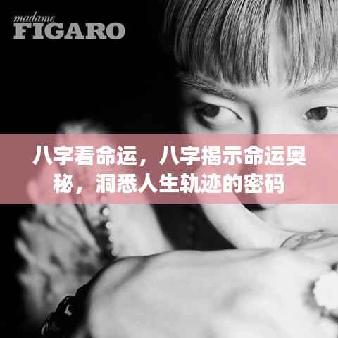 八字揭秘命运奥秘,洞悉人生轨迹的密码