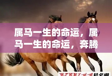 属马人的命运轨迹,一生如骏马奔腾,命运多舛还是顺遂如流?