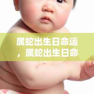 破衲疏羹 第3页