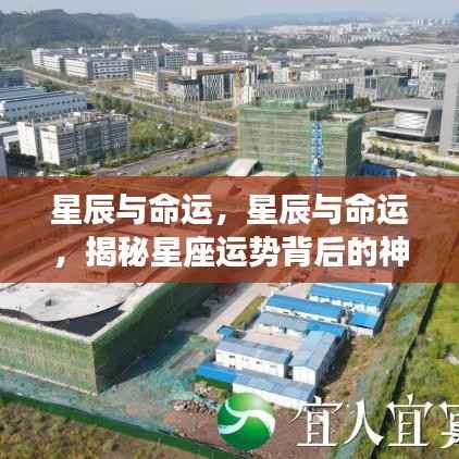 揭秘星座运势背后的神秘力量,星辰与命运的交织影响