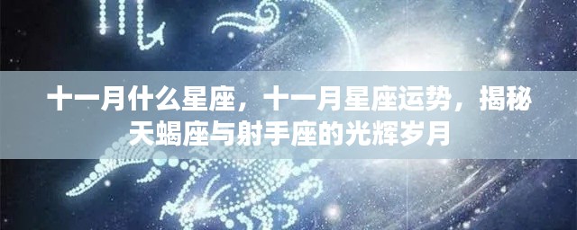 揭秘十一月星座运势，天蝎座与射手座的辉煌岁月与运势展望