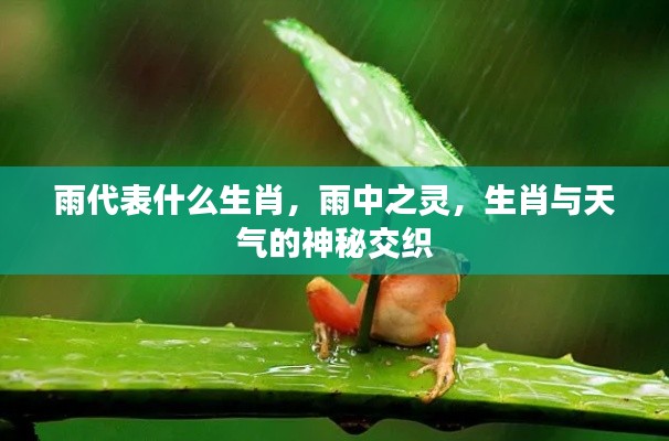 雨中之灵,生肖与天气的神秘联系