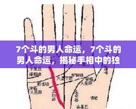 揭秘手相中7个斗的男人命运,独特纹路揭示人生轨迹