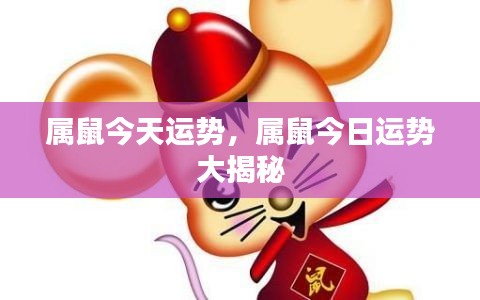 属鼠今日运势揭秘,全面解读属鼠人的今日运势