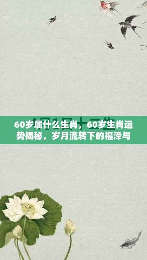 岁月流转下的福泽与智慧,揭秘60岁生肖运势与生肖属性解析