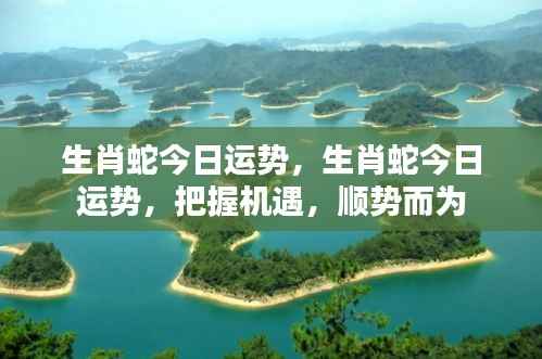 生肖蛇今日运势详解,把握机遇,顺势而为的策略