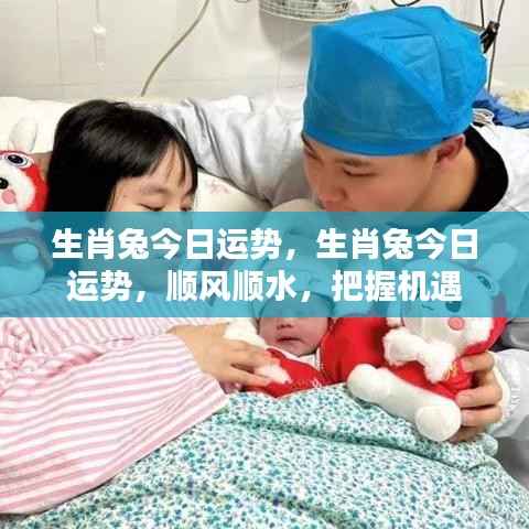 生肖兔今日运势大解析,顺风顺水,机遇把握之道