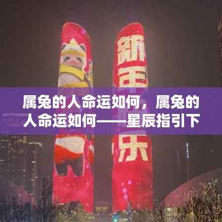 属兔人的星辰命运,独特人生轨迹的指引