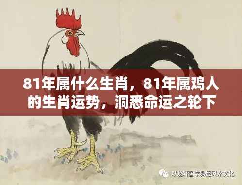 小鸟伊人 第4页