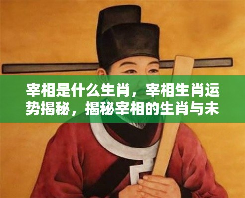 揭秘宰相生肖与未来运势走向,生肖运势深度解析