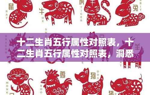 十二生肖五行属性对照表,揭秘命运之轮