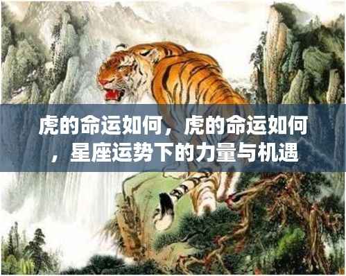 虎年星座运势下的力量与机遇,命运如何掌握在自己手中?