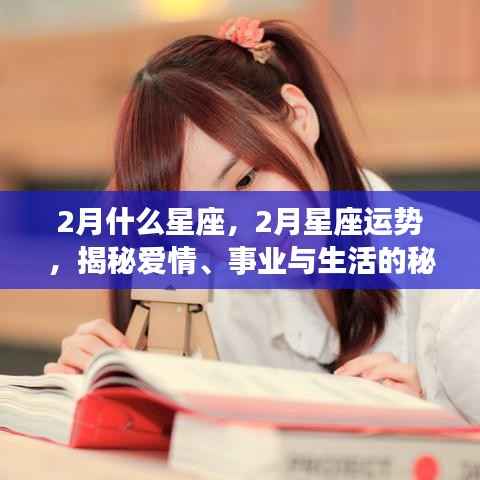揭秘二月星座运势,爱情、事业与生活展望