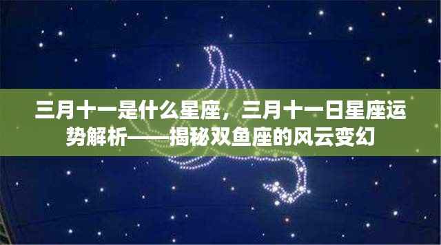 三月十一日双鱼座运势解析,揭秘风云变幻的星座特性与运势展望