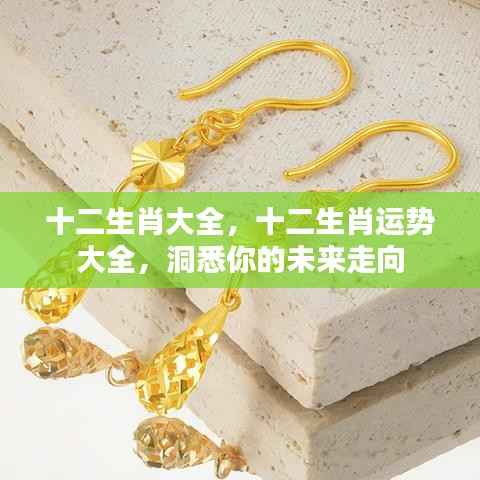 飞黄腾达 第4页