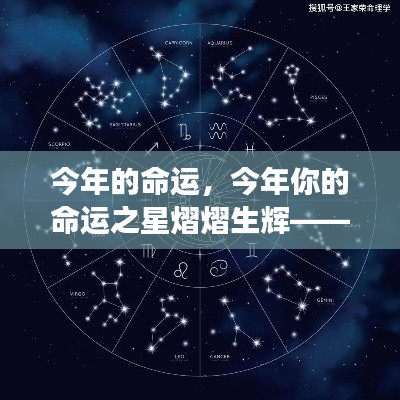 探寻十二星座辉煌之旅,今年命运之星熠熠生辉