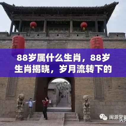 揭秘88岁生肖,岁月流转中的命运轨迹揭晓