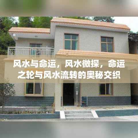 都中纸贵 第4页