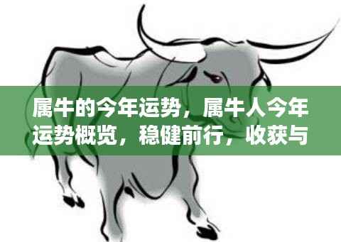 属牛人今年运势概览,稳健前行,收获与成长并重,运势大好!