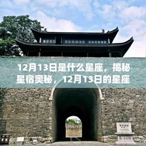 郑重其事 第4页