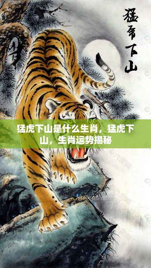 猛虎下山,揭秘生肖运势与神秘力量