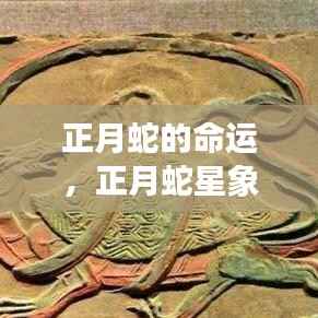 专心致志 第5页