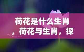 荷花与生肖,文化交融之美的探寻