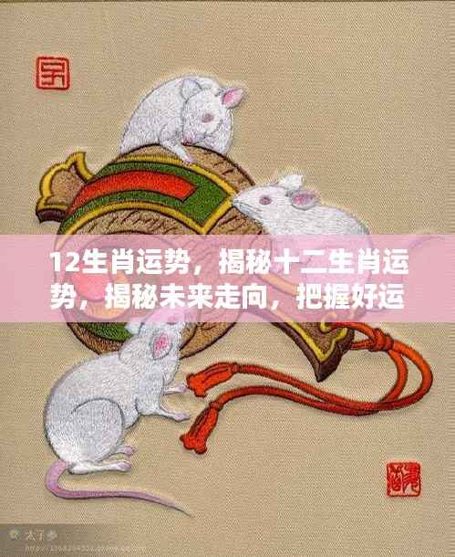 揭秘十二生肖未来运势,把握好运之门,洞悉走向好运!