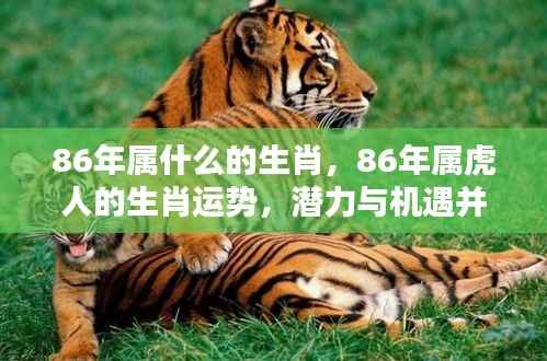 1986年属虎人的生肖运势及潜力机遇解析