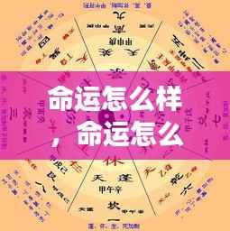 星座运势揭示未来走向,命运的走向如何?