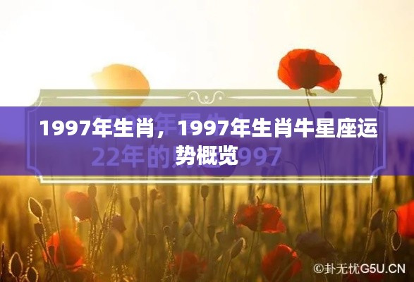 1997年生肖牛星座运势概览分析