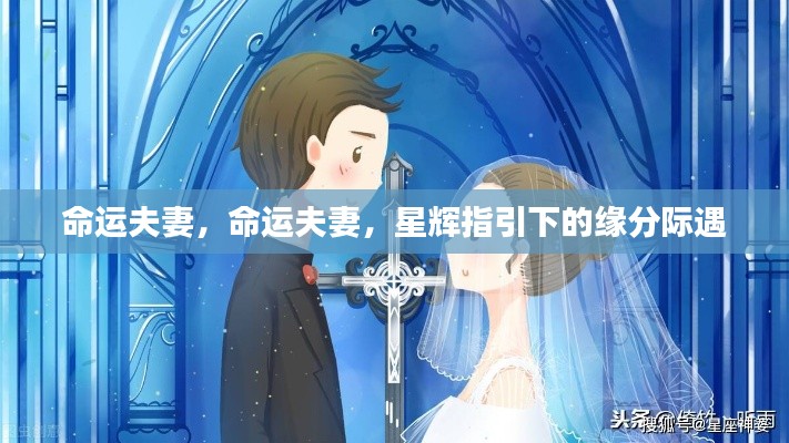 星辉指引下的命运夫妻奇缘