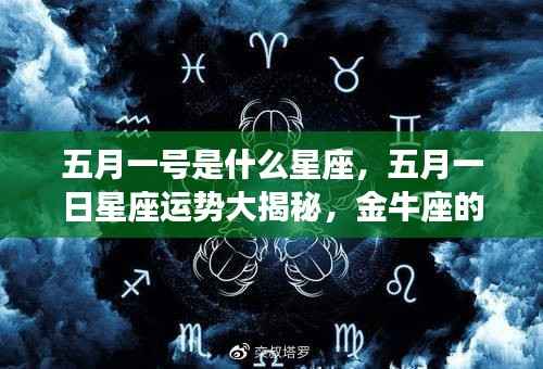 洵属可贵 第3页