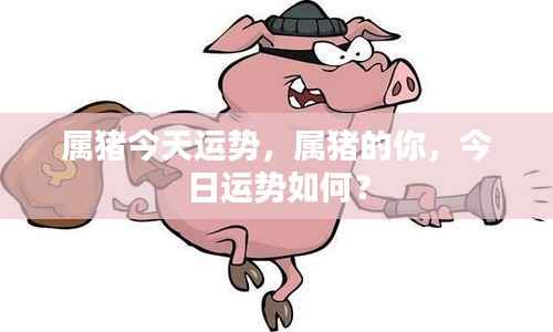 属猪今日运势详解,运势分析助你把握好运!