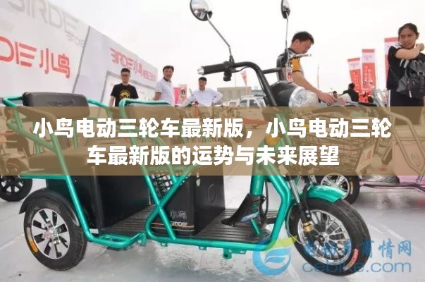 小鸟电动三轮车最新版,展望运势与未来发展趋势