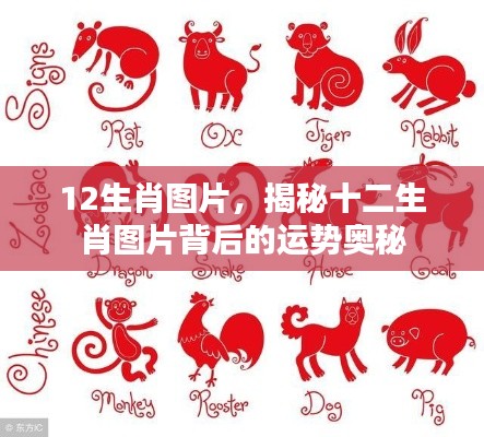 百鸟齐鸣 第3页