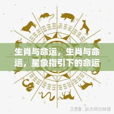 生肖星象与命运解读,探寻生肖背后的命运指引
