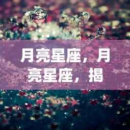 月亮星座深度解析,揭示情感与性格的奥秘