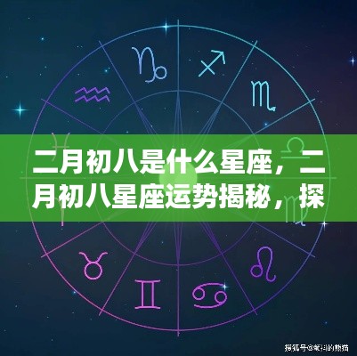 二月初八星座运势揭秘,探寻属于你的星辰轨迹