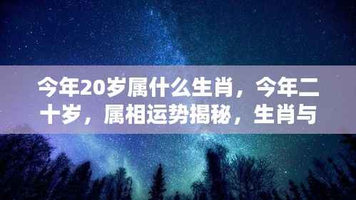 20岁属相运势揭秘,生肖与星空的双重照耀下,你的未来如何?
