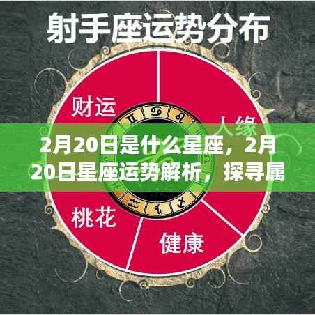 2月20日星座运势揭秘,探寻属于你的星座奥秘