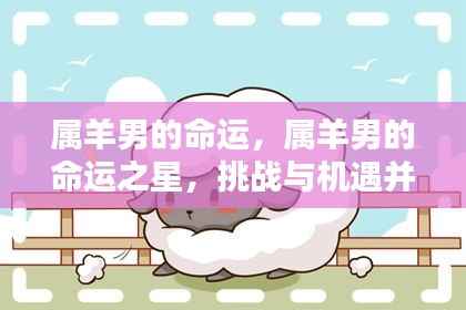 属羊男的命运之谜,挑战与机遇并存之星宿之旅