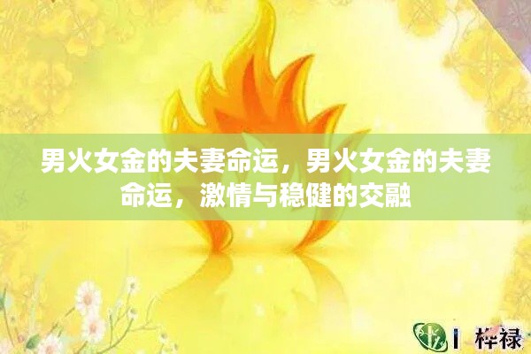 男火女金的夫妻命运,激情与稳健的完美交融