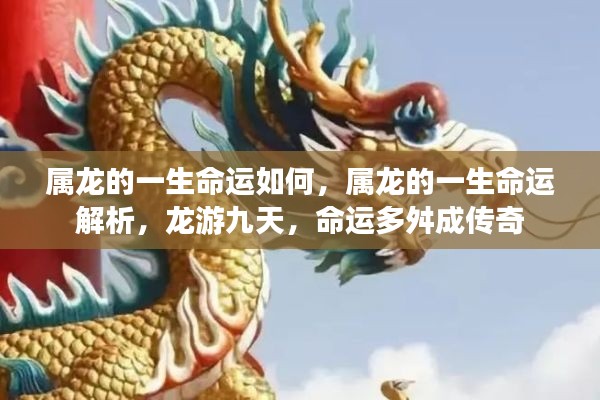 属龙命运解析,龙游九天,命运传奇多舛路