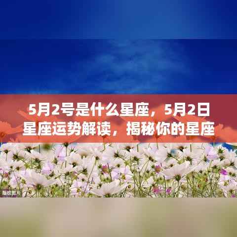 5月2日星座运势揭秘,洞悉性格特质与未来展望