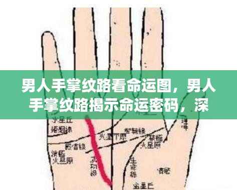 男人手掌纹路揭示命运密码,手纹与命运图的深度解读奥秘