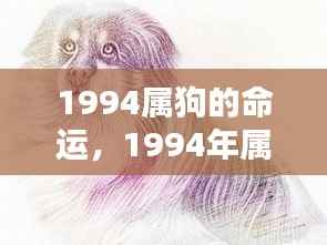 1994年属狗人的忠诚与坚韧,命运之星照亮辉煌人生之路