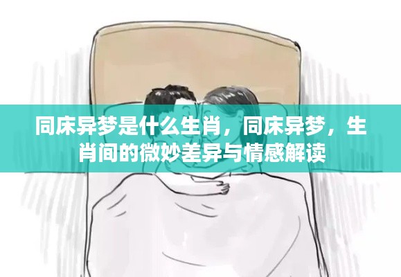 同床异梦与生肖,微妙差异及情感解读探讨