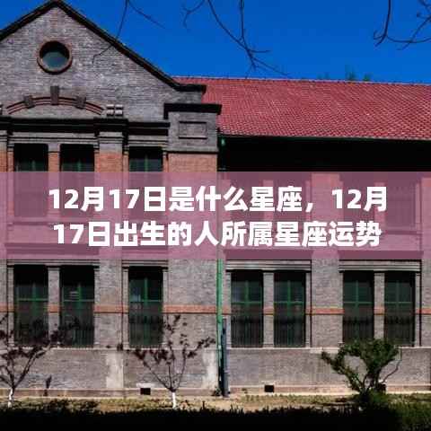 12月17日出生者的星座运势解读,探索属于你的星座特性与运势